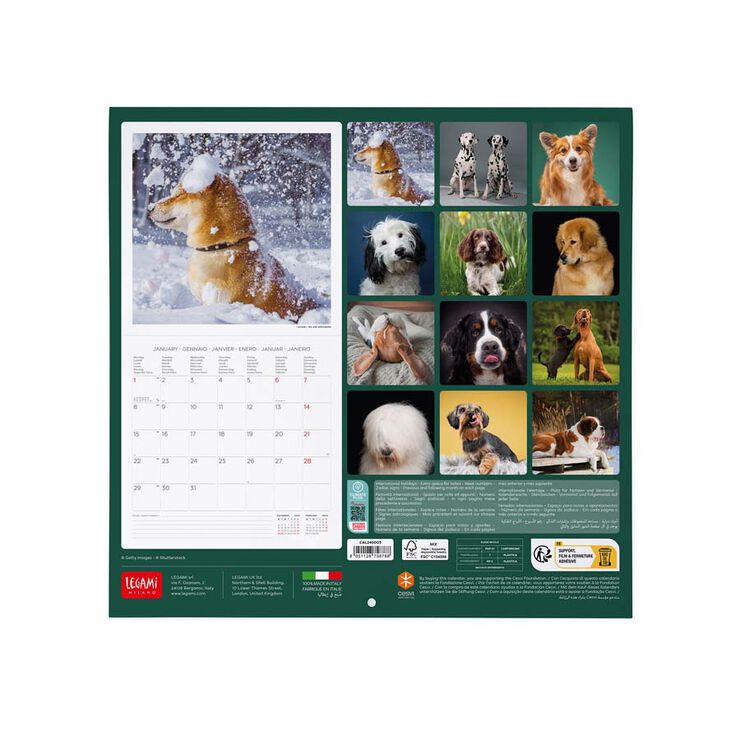 Calendario pared Legami 30X29 2024 Dogs