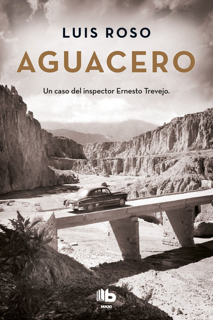 Aguacero (Inspector Trevejo 1)