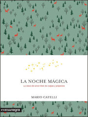 La noche mágica La noche mágica