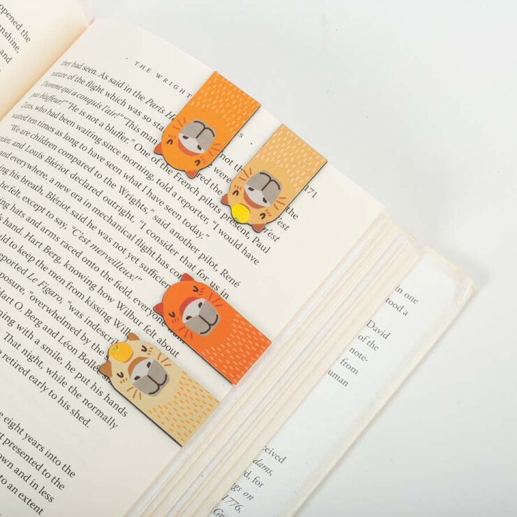 Punt de Llibre magnètic Capibara Kikkerland