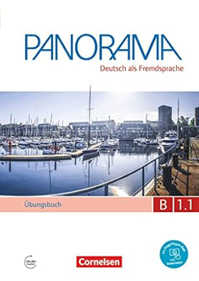 Panorama B1.1 Arbeitsbuch+Cd
