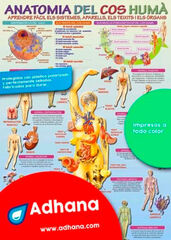 ADHAC 35x50 Anatomia cos humà