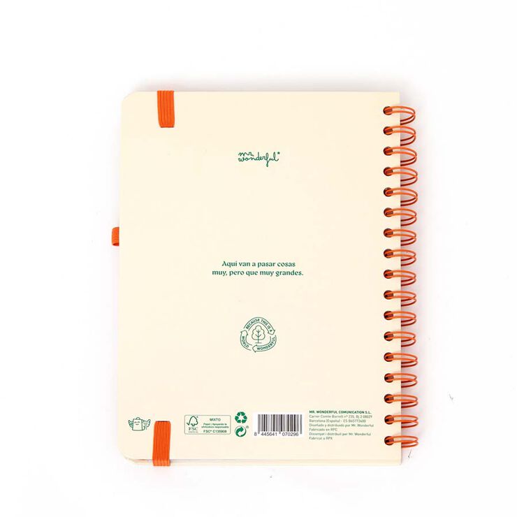 Agenda Mr.Wonderful Office sem/vista 2026 cast Sin reglas