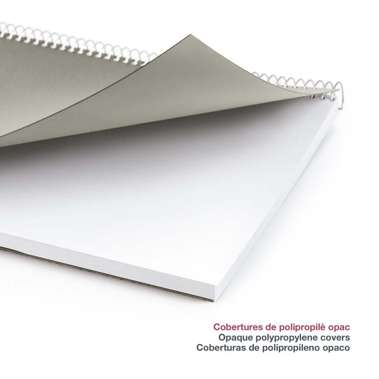 Agenda Espiral Miquelrius Plus día/pág catalán 2026 City gris