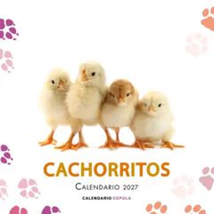 Calendario Pared C&uacute;pula Castellano 2027 Cachorritos