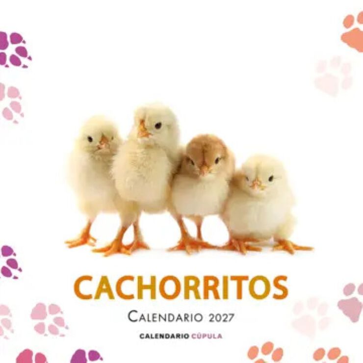 Calendario Pared C&uacute;pula Castellano 2027 Cachorritos