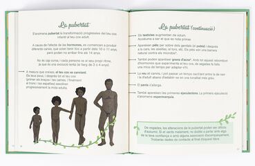 El petit atles de la intimitat: el penis, els testicles, les ereccions i més
