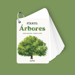 F&iacute;xate: &Aacute;rbores