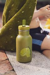 Botella infantil acero 350ml Trixie Mr. Dino