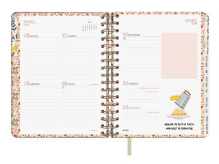 Agenda Finocam 16 mesos Vitae 1/4 setm/vista cat 2025-26 verd