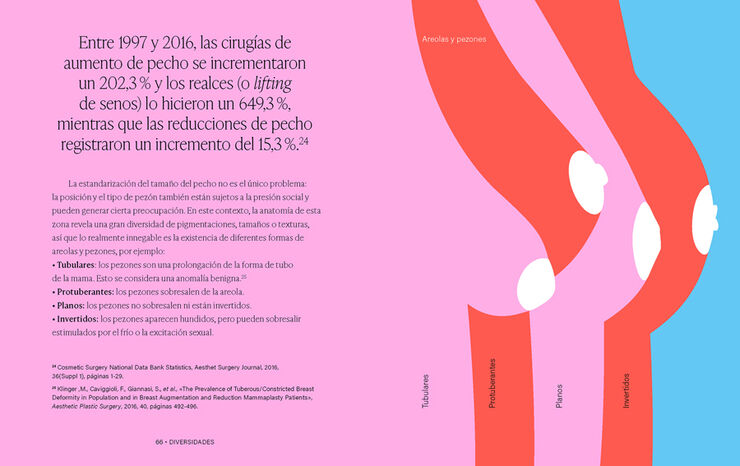 Diversidades. Piezas para entender nuestra sexualidad plural