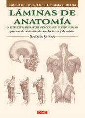 Láminas de anatomía Láminas de anatomía
