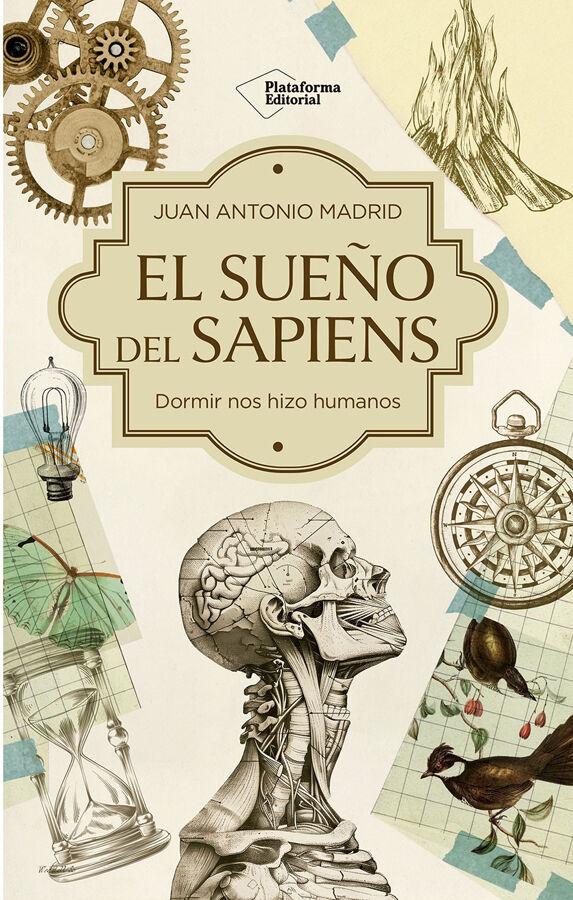 El sue&ntilde;o del Sapiens