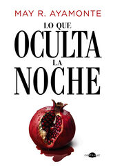 Lo que oculta la noche Lo que oculta la noche