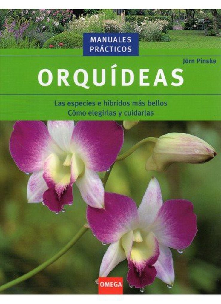 Orquideas
