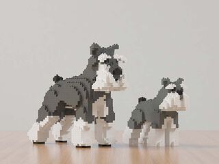Jekca Schnauzer Mini