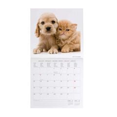 Calendario pared Legami 30x29cm 2026 Best Friends