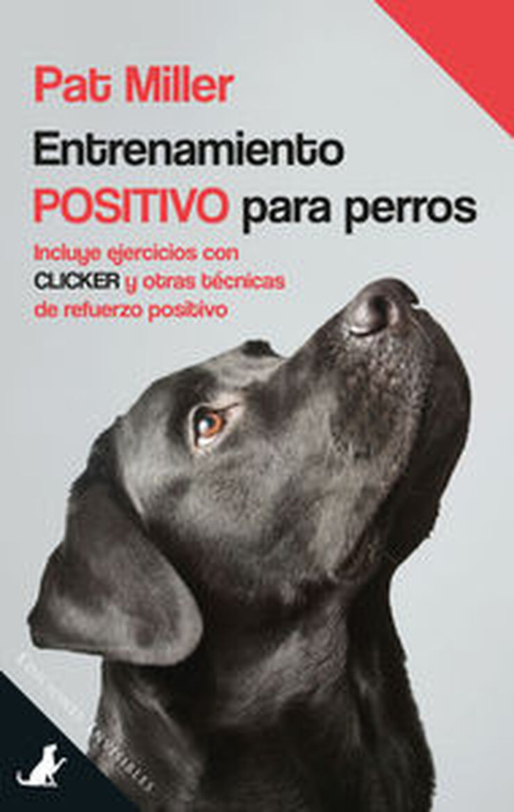 Entrenamiento positivo para perros