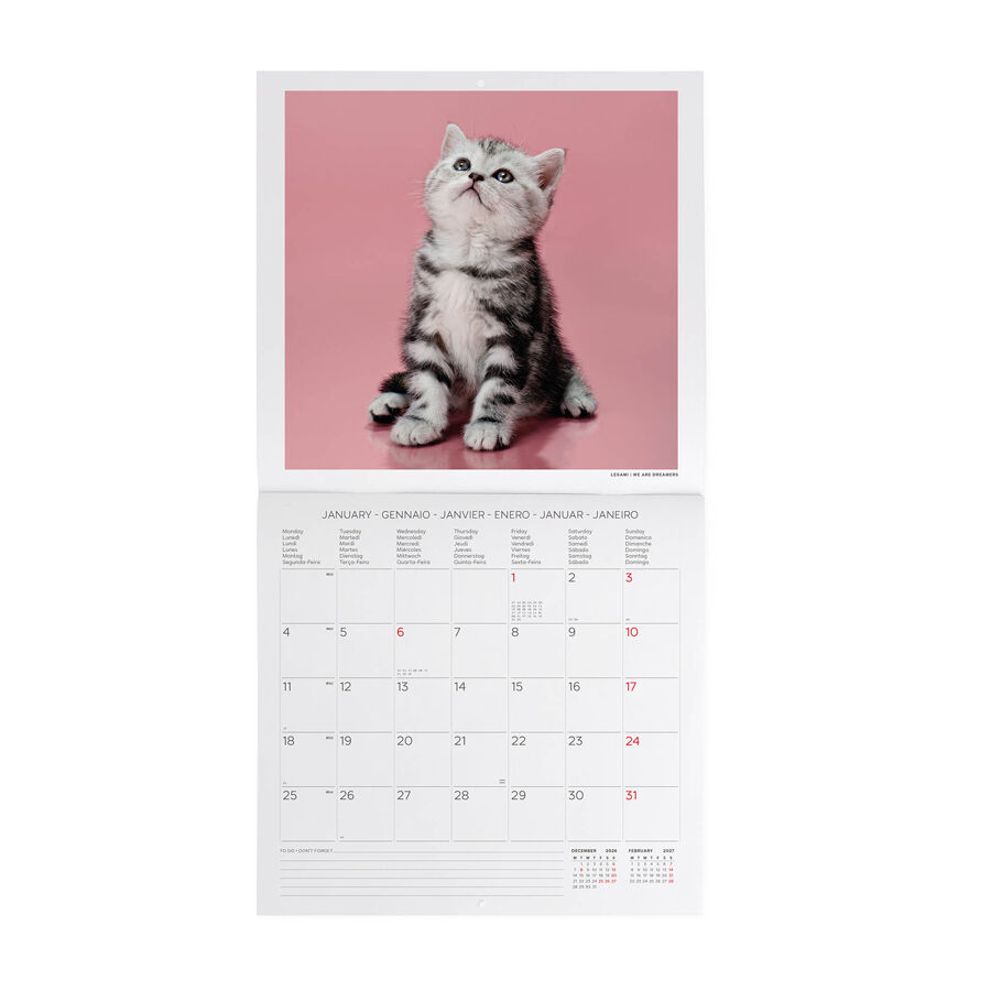 Calendario Legami 30x29 Pared Kittens Multiling&uuml;e 2027