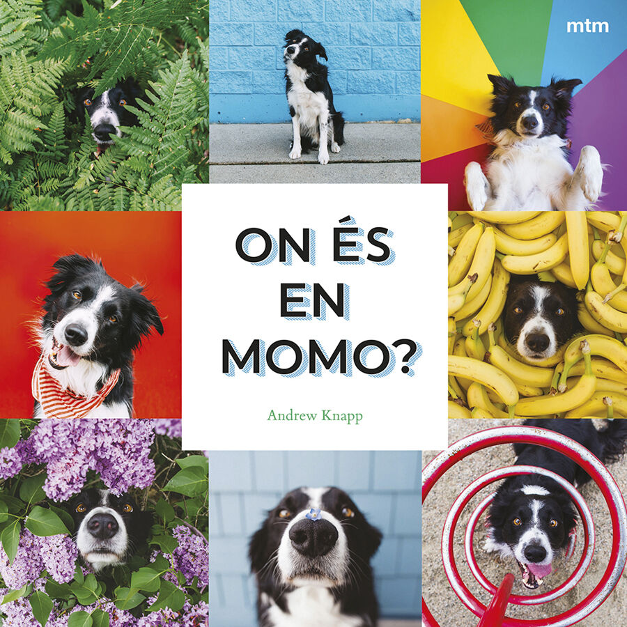 On &eacute;s en Momo?