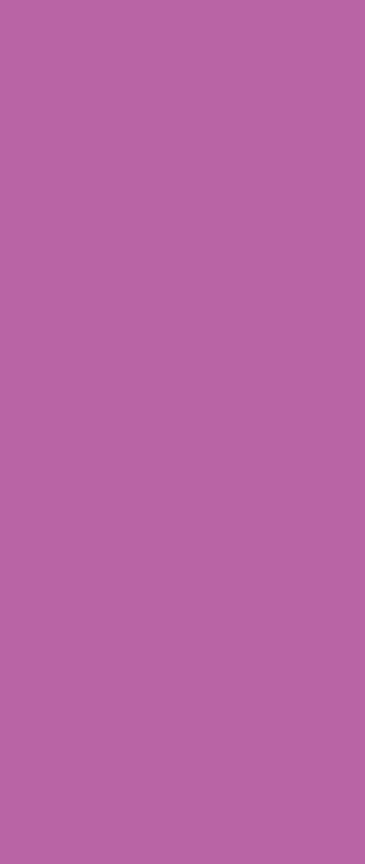 Joy Cartulina Smart adhesiva 14x33cm 10 hojas
