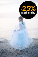 Capa Reina de gel De 3 a 4 anys