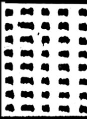 Jordi Colomer. Fa&ccedil;ana foto festa futur fideus [ingl&eacute;s]