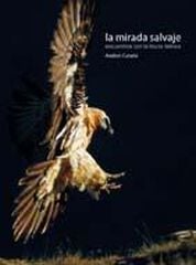 Mirada salvaje, La Mirada salvaje, La