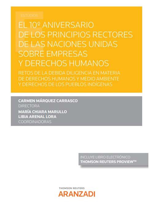 El 10&ordm; Aniversario de los Principios Rectores de las Naciones Unidas sobre empresas y derechos humanos (Papel + e-book)