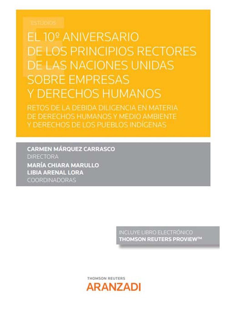 El 10º Aniversario de los Principios Rectores de las Naciones Unidas sobre empresas y derechos humanos (Papel + e-book)