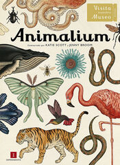 Animalium Animalium
