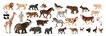 Animales salvajes/granja 30 unidades Miniland