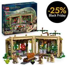 LEGO® Harry Potter TM Castillo de Hogwarts™: Clase de Herbología 76445