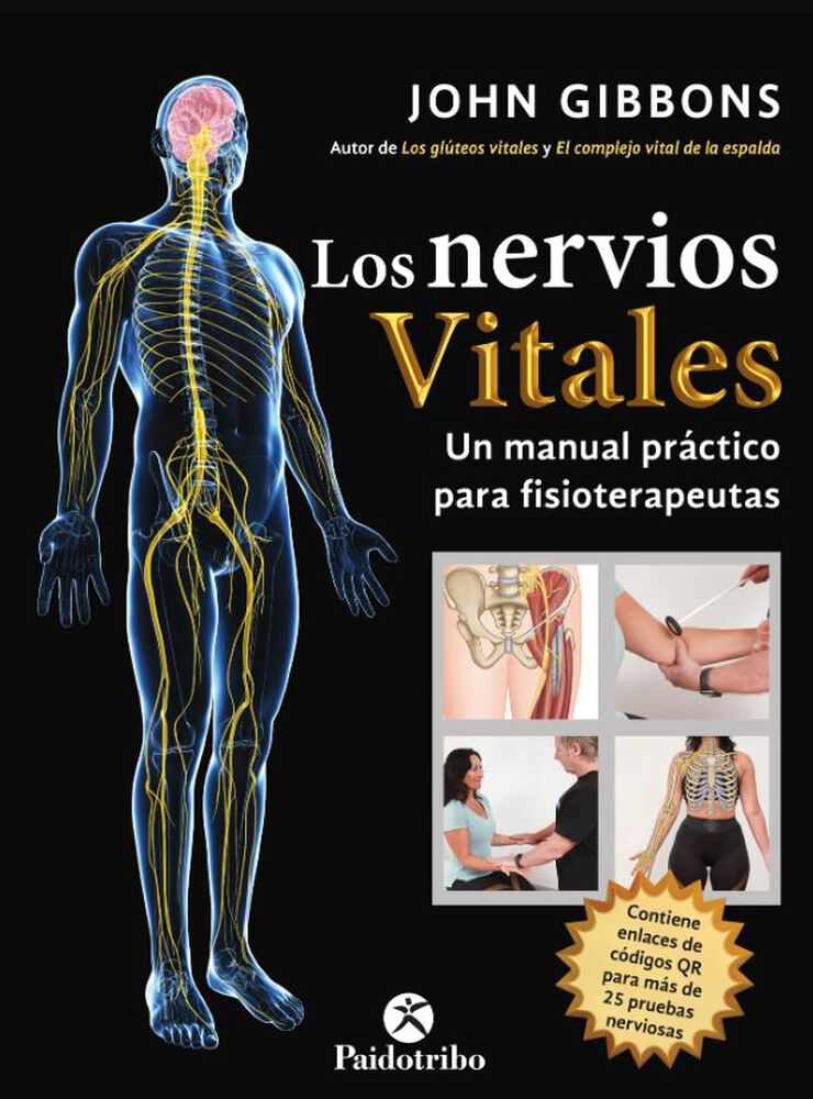 Los nervios vitales