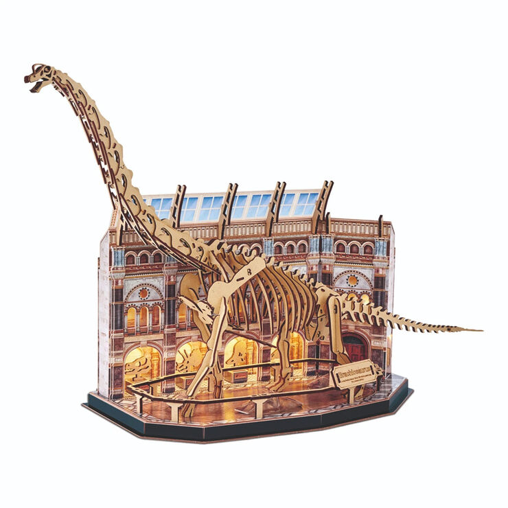 Puzle 3D Museum LED Brachiosaurus