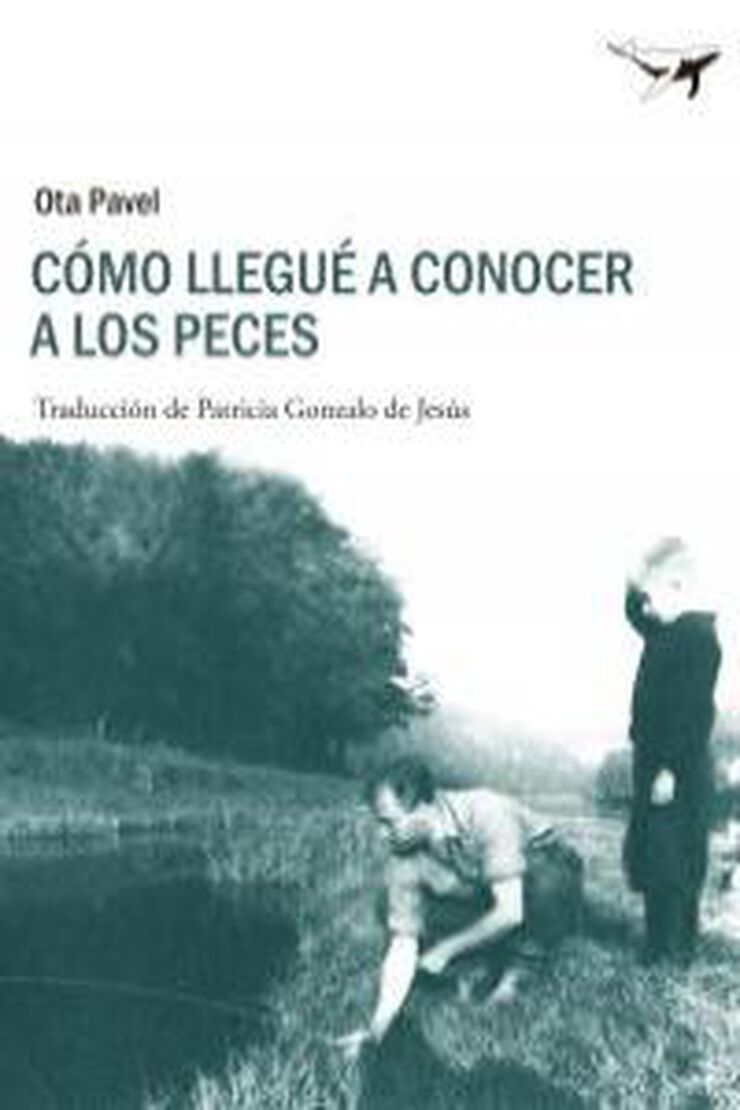 Cmo llegu a conocer a los peces