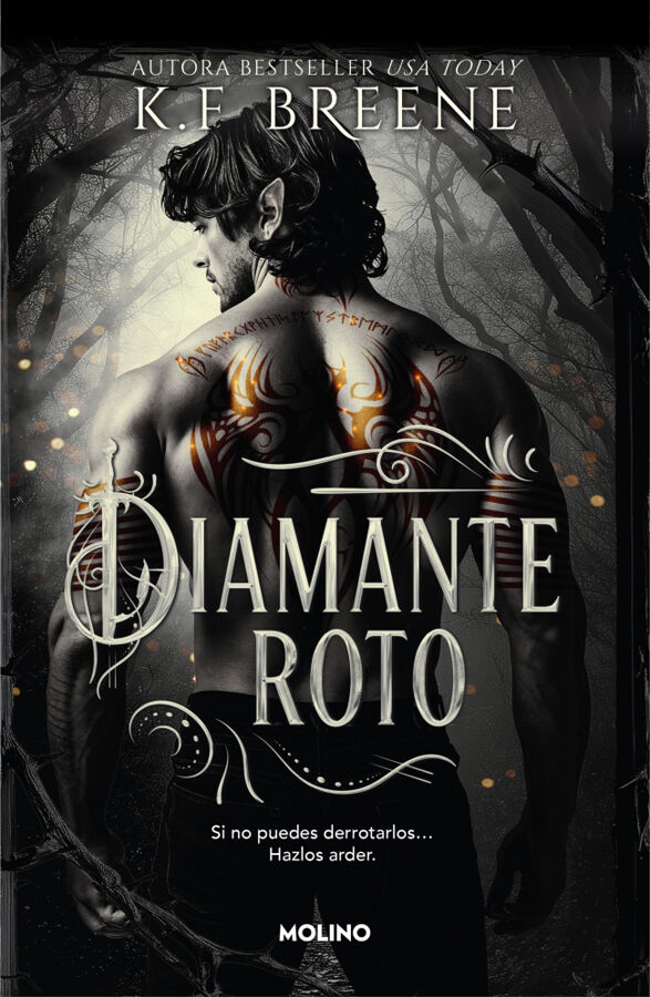 Los fae de las sombras 2 Diamante roto