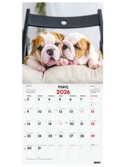 Calendario pared Finocam 30x30 2026 Cachorros catalán