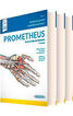 Prometheus. Texto y Atlas de Anatomía