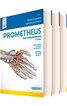 Prometheus. Texto y Atlas de Anatomía Prometheus. Texto y Atlas de Anatomía