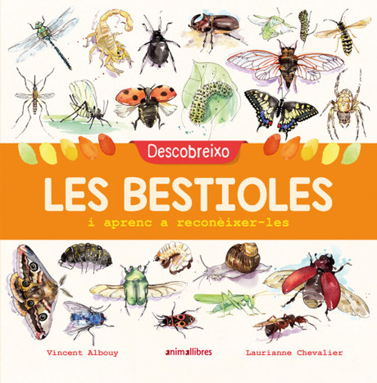 Descobreixo les bestioles i aprenc a reconèixer-les