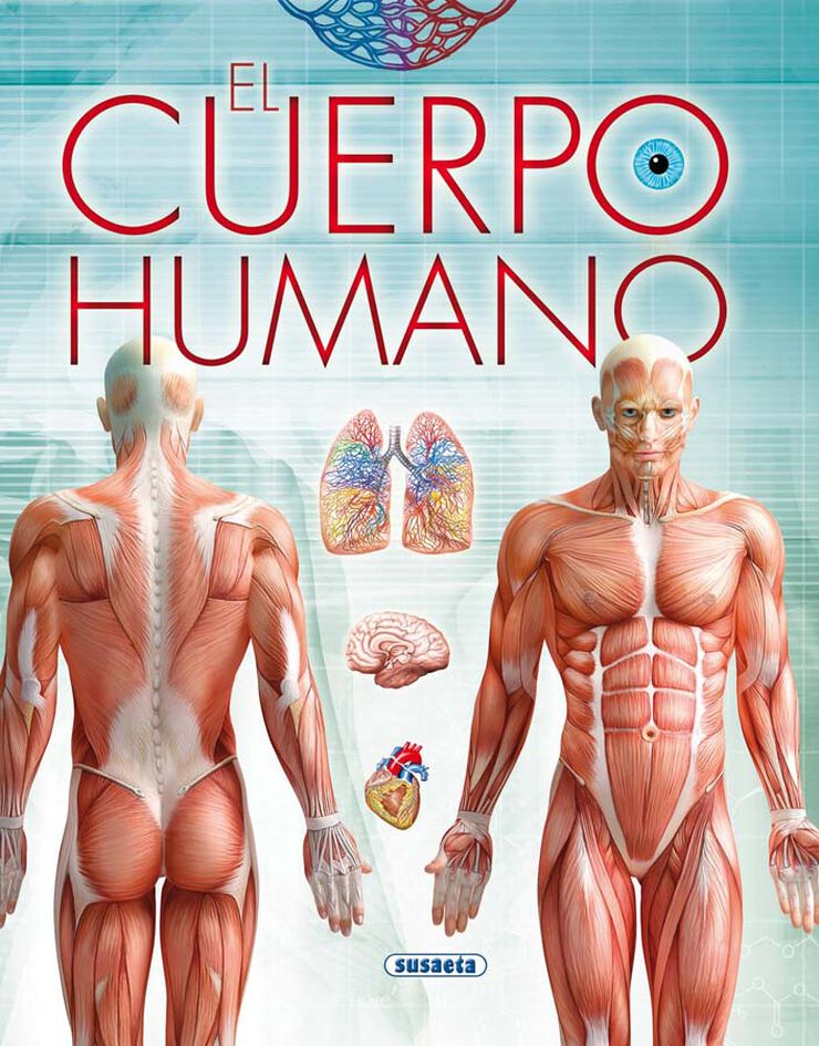 El cuerpo humano