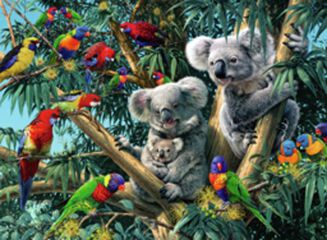 Puzle 500 peces Koalas