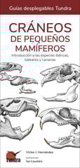 Cráneos de pequeños mamíferos Cráneos de pequeños mamíferos