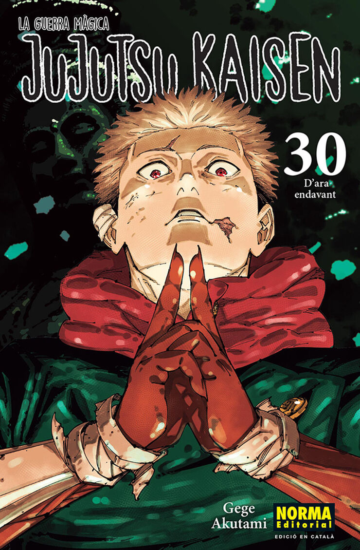 Jujutsu Kaisen 30 catal&agrave;
