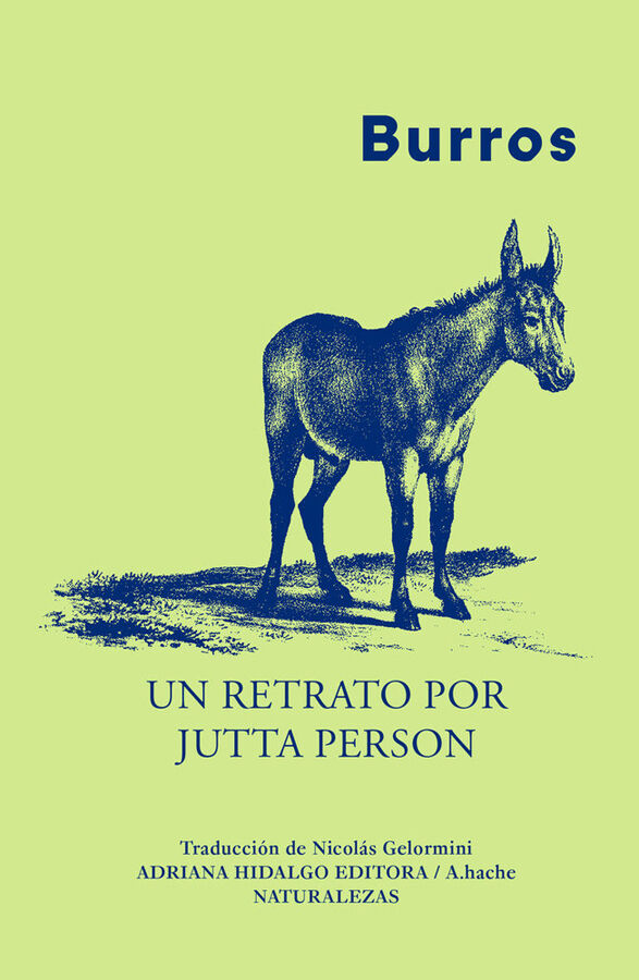 Burros NE