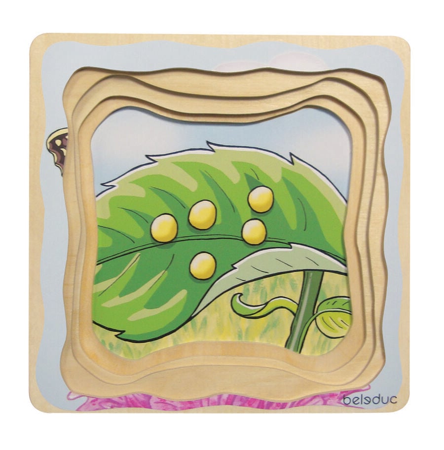 ENCAJE EVOLUTIVO MARIPOSA