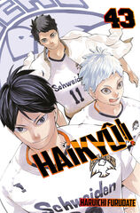 Haiky&ucirc;!! n&ordm; 43/45
