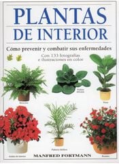 Plantas de interior Plantas de interior
