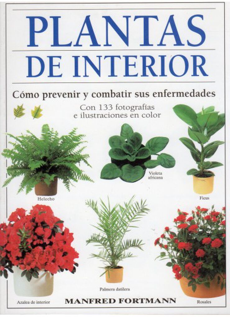 Plantas de interior